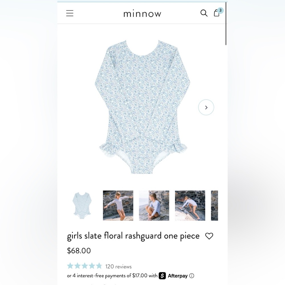 Minnow girls slate floral rashguard one piece